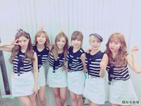 Apink 32P